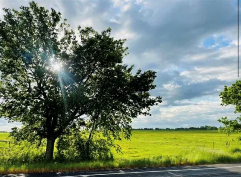 Property Photo: 6797 Farm Road 1497 TX 75462