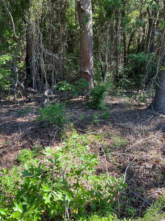 Property Photo: 0000 Fm 1801 TX 75773