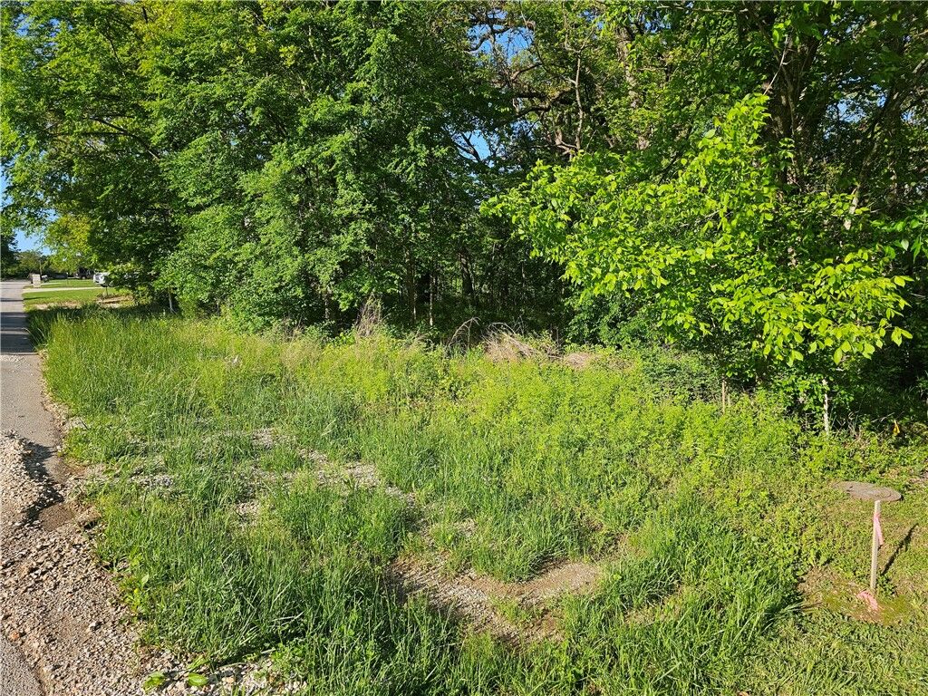 Property Photo:  Tbd Lot 47 Joe Lane  AR 72756 
