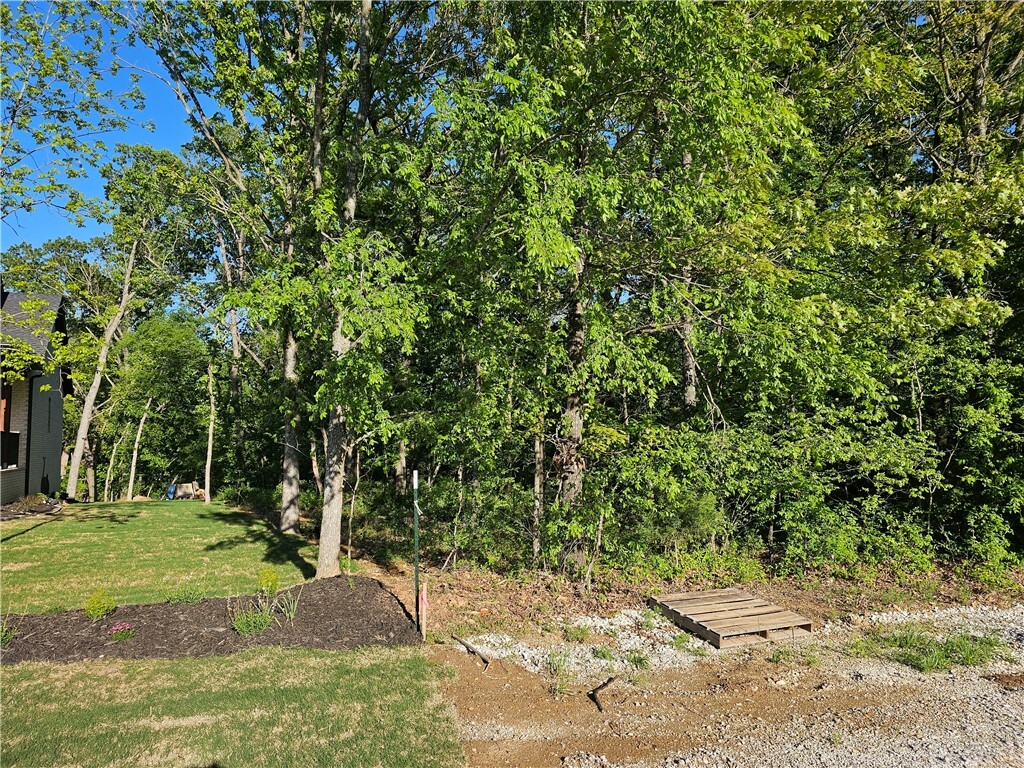Property Photo: Tbd Lot 47 Joe Lane AR 72756