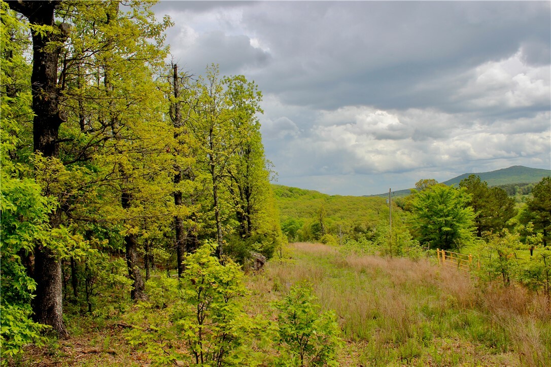 Property Photo:  000 Dunkard Road  AR 72601 