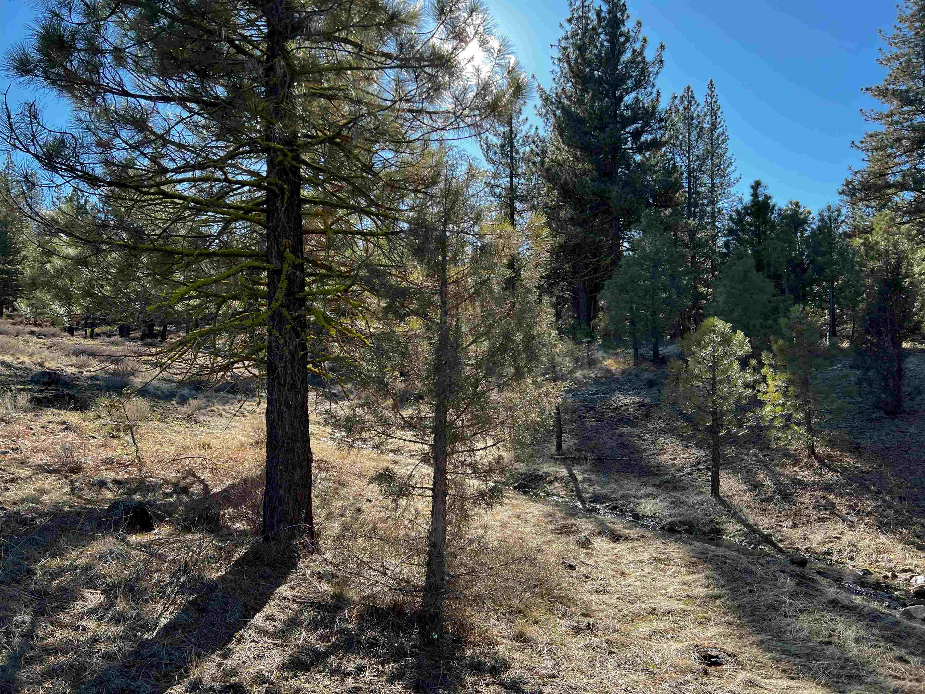 Property Photo: 450 Emerald Point CA 96161