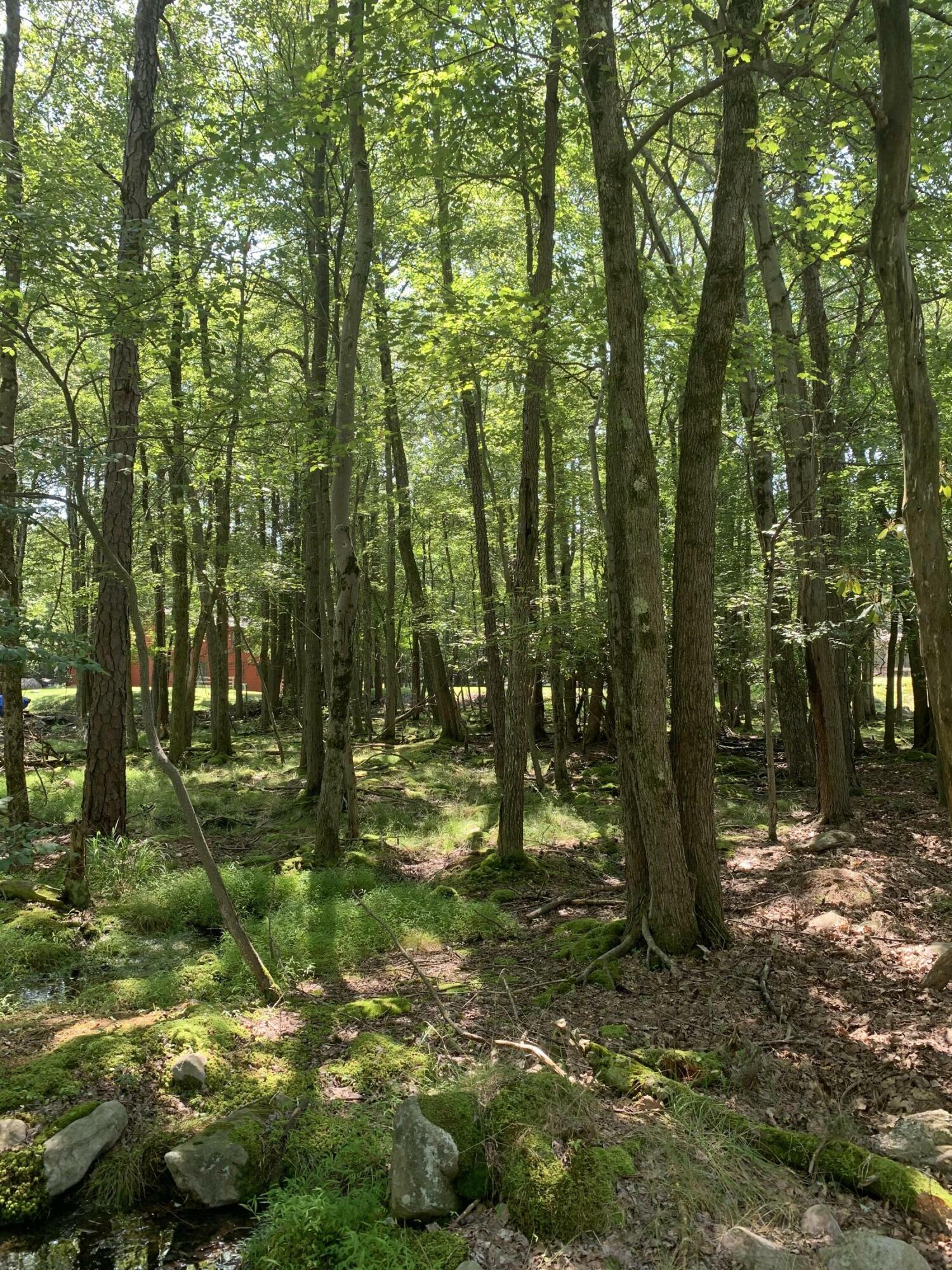 Property Photo: 19 Sunshine Drive PA 18661