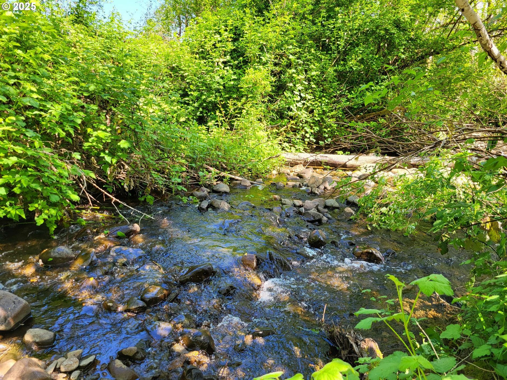 Property Photo: 0 Salmon River Hwy OR 97347