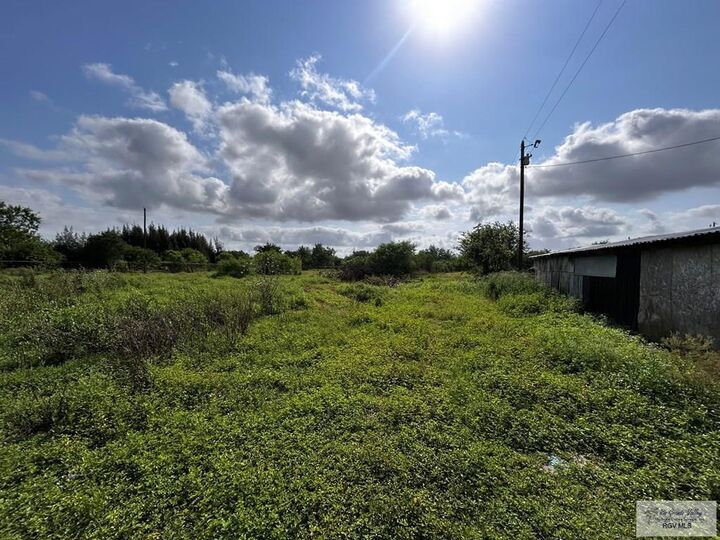 Property Photo: 27853 Fm 803 TX 78566