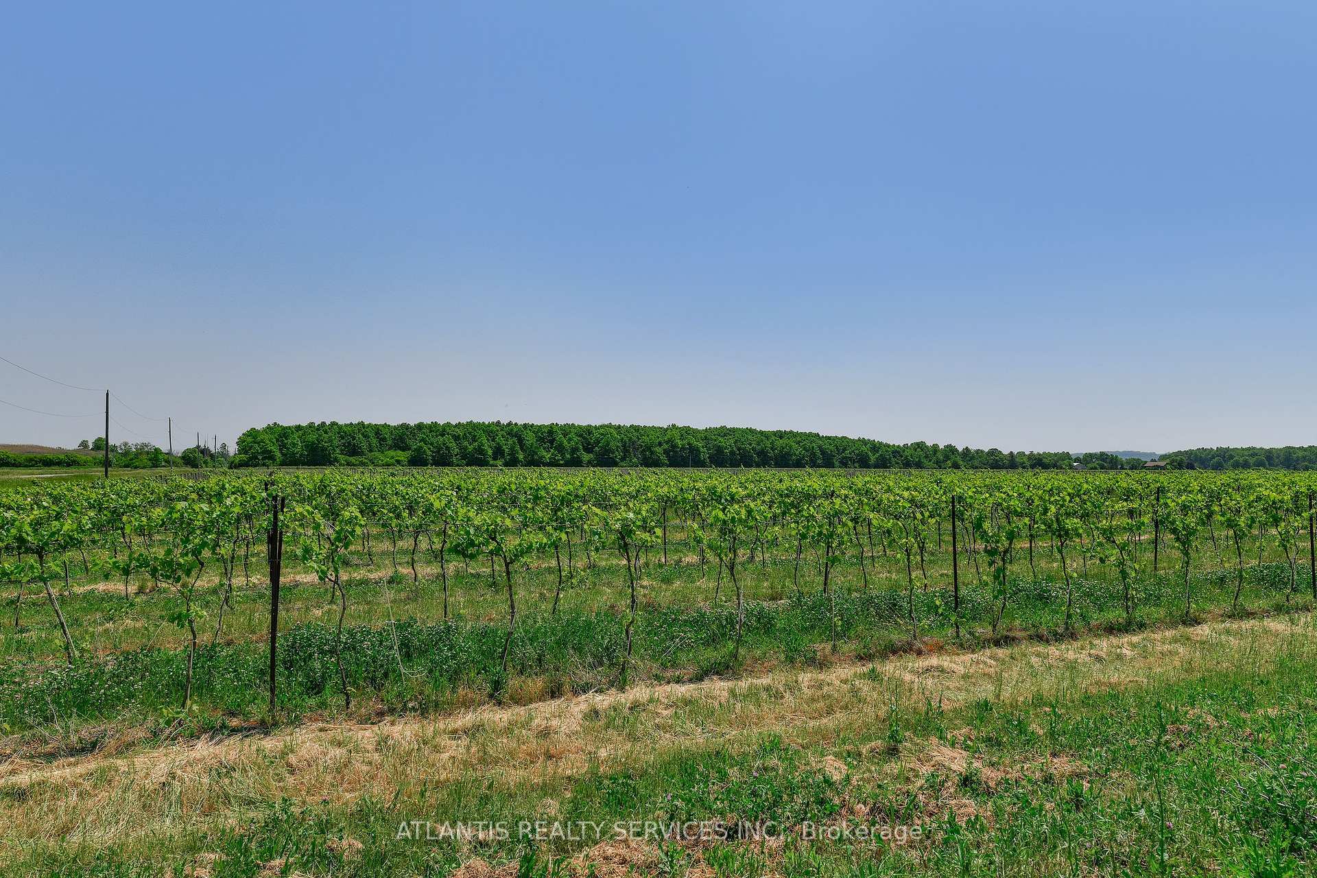 Property Photo: 497 Line 5 Road S ON L0S 1T0