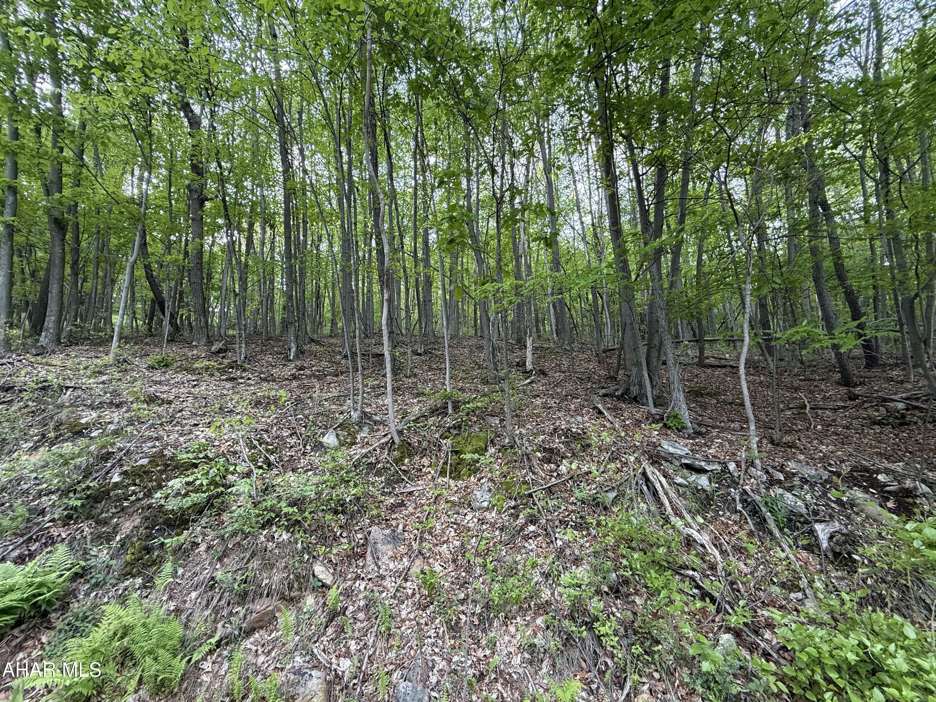 Property Photo: 0 Cherry Run Road PA 15522