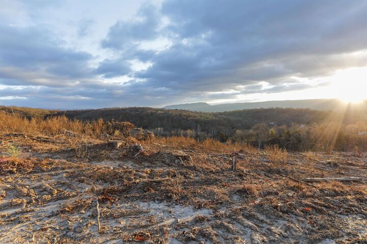 Property Photo: Tbd New Market Depot Rd VA 22844