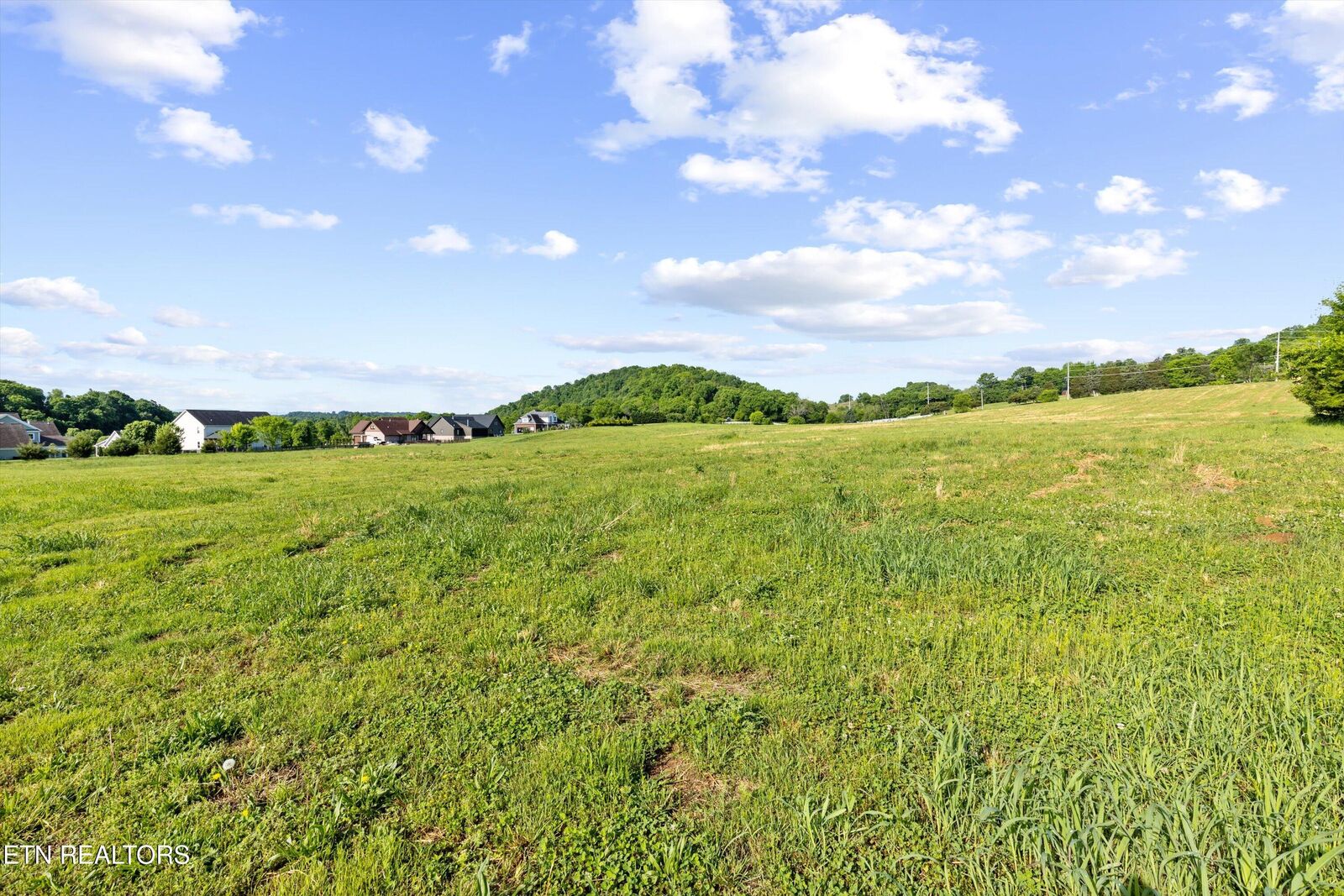 Property Photo:  0 Gunnies Drive  TN 37764 