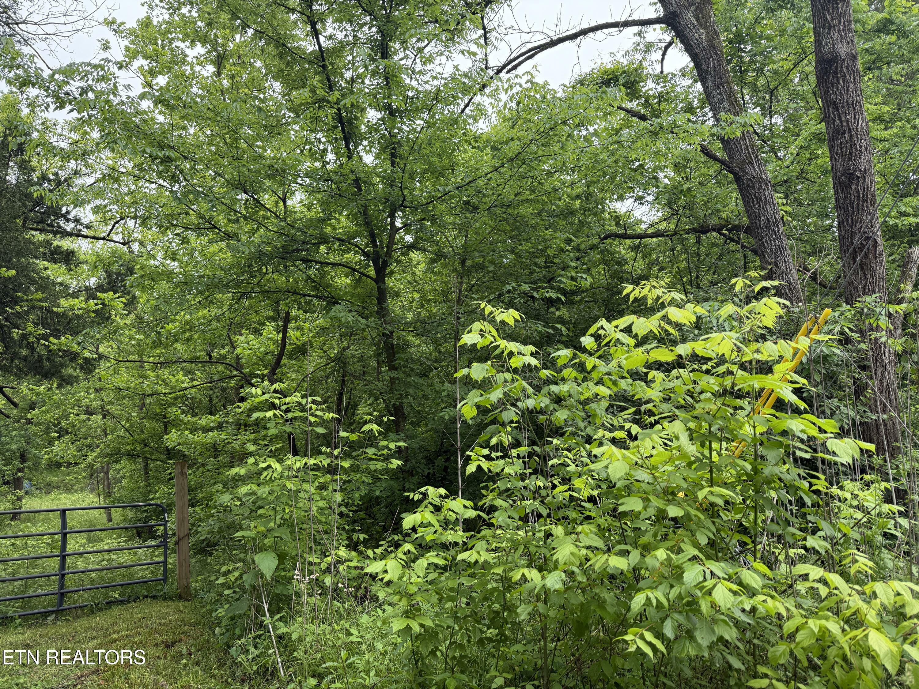 Property Photo: 1205 Everett Rd TN 37932