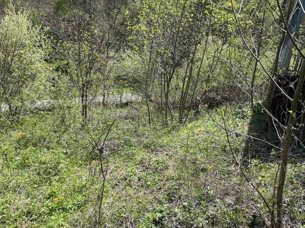 Property Photo: 654 Napier Hollow Road KY 40962