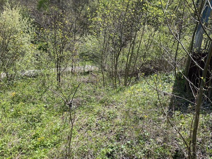Property Photo: 654 Napier Hollow Road KY 40962