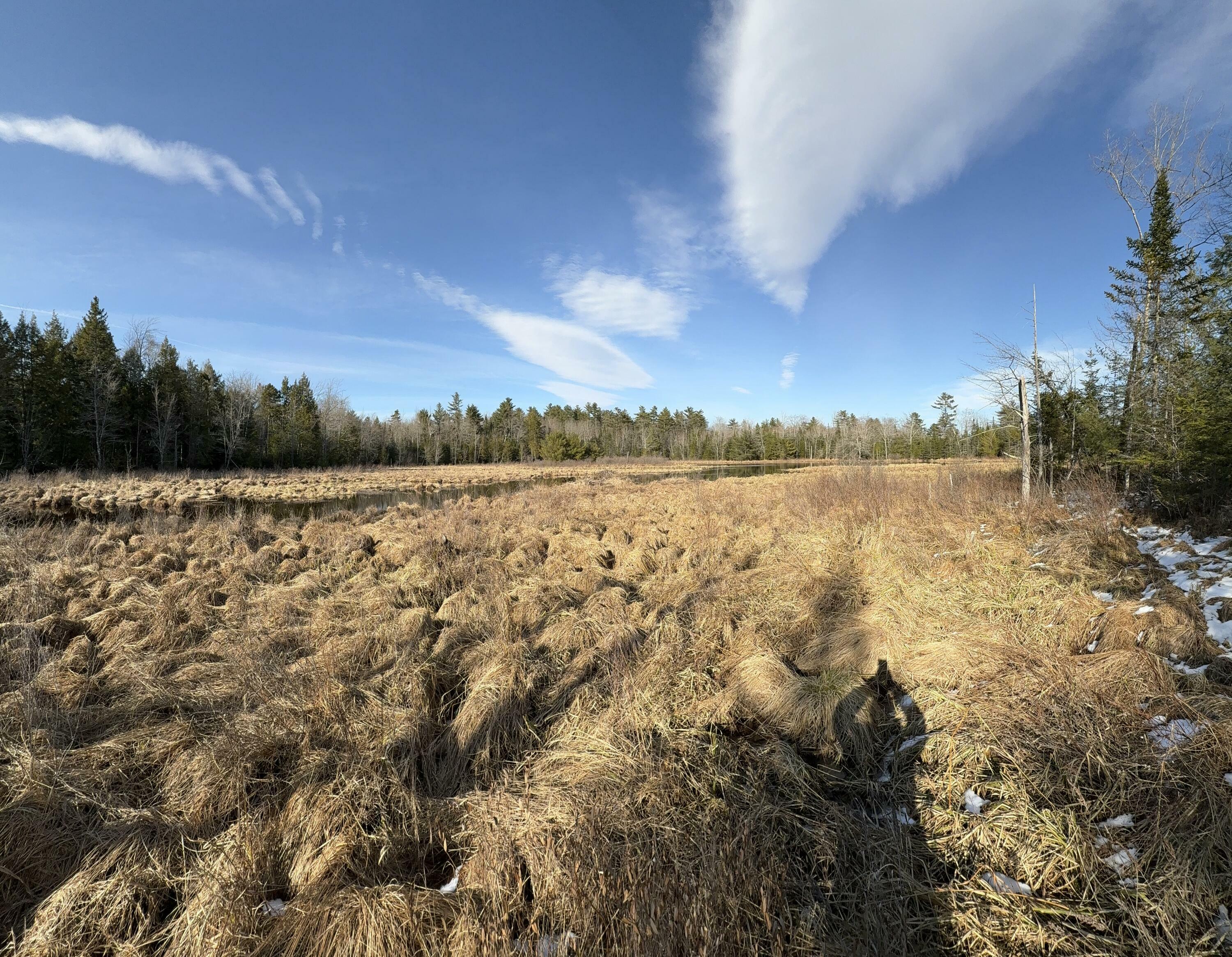 Property Photo:  Lot 45 Dickey Hill Rd  ME 04951 
