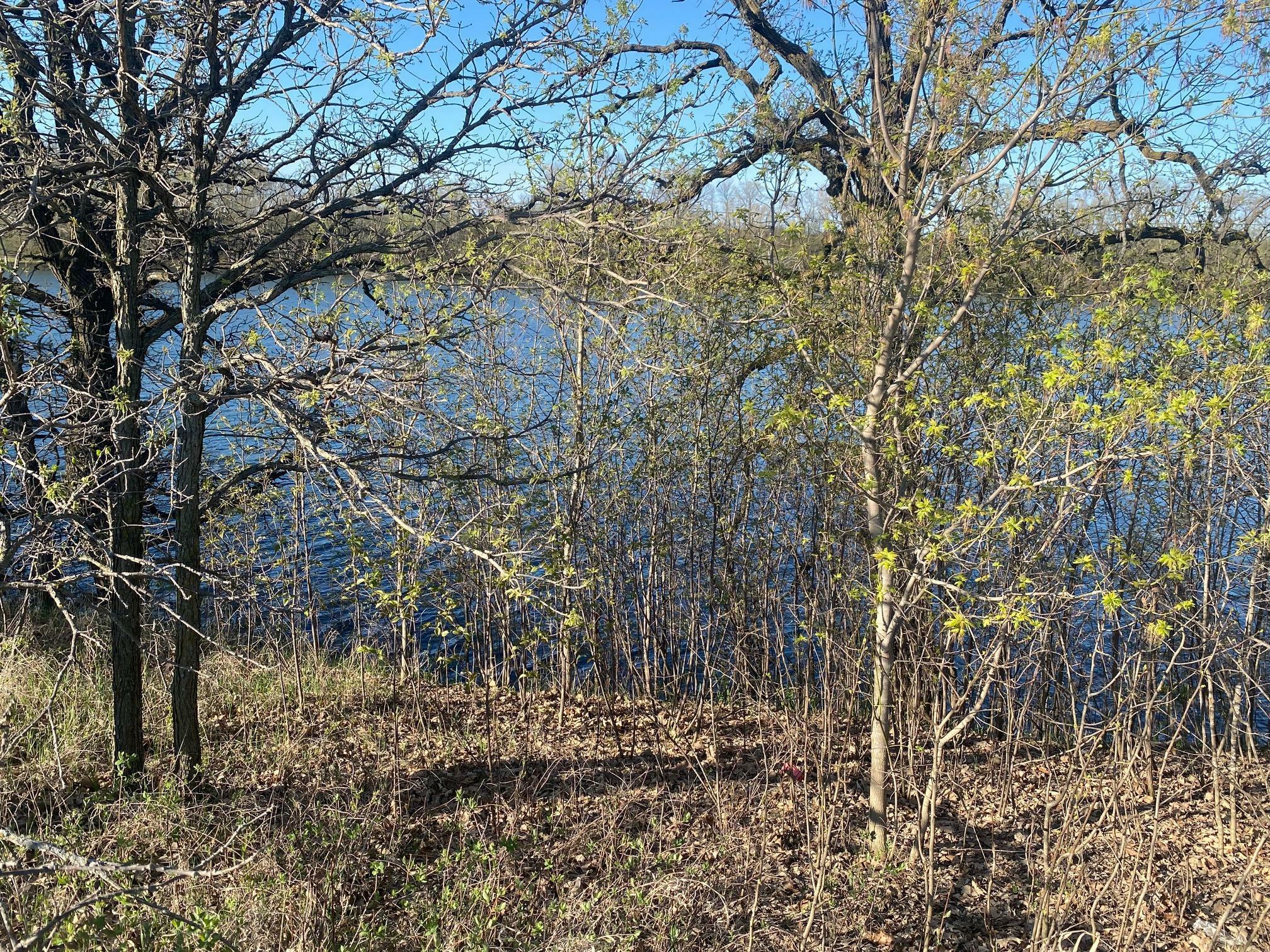 Property Photo: 429 W Walnut Avenue MN 56544