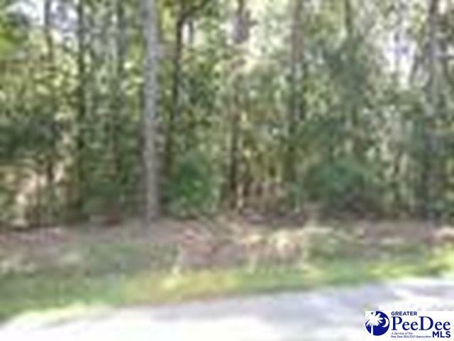 Property Photo: Lots Quinby Forest SC 29506