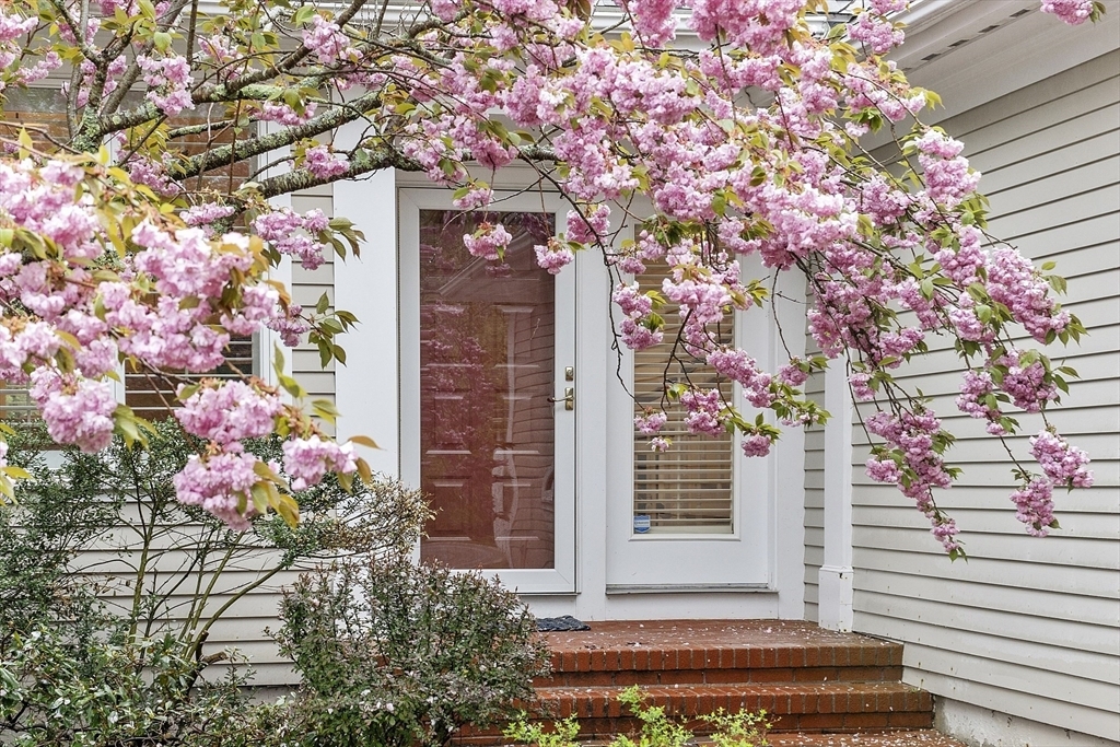 Property Photo: 7 Long Ridge Lane MA 01938