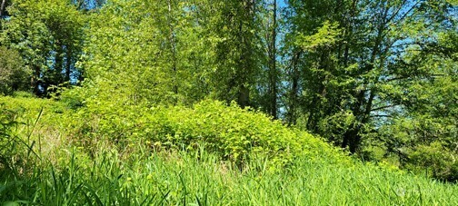 Property Photo: 825 99th Avenue SE WA 98258