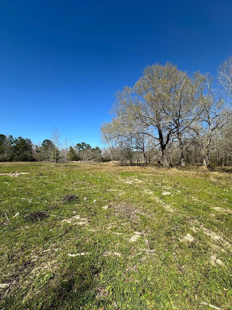 Property Photo: 27663 Hwy. 105 TX 77659