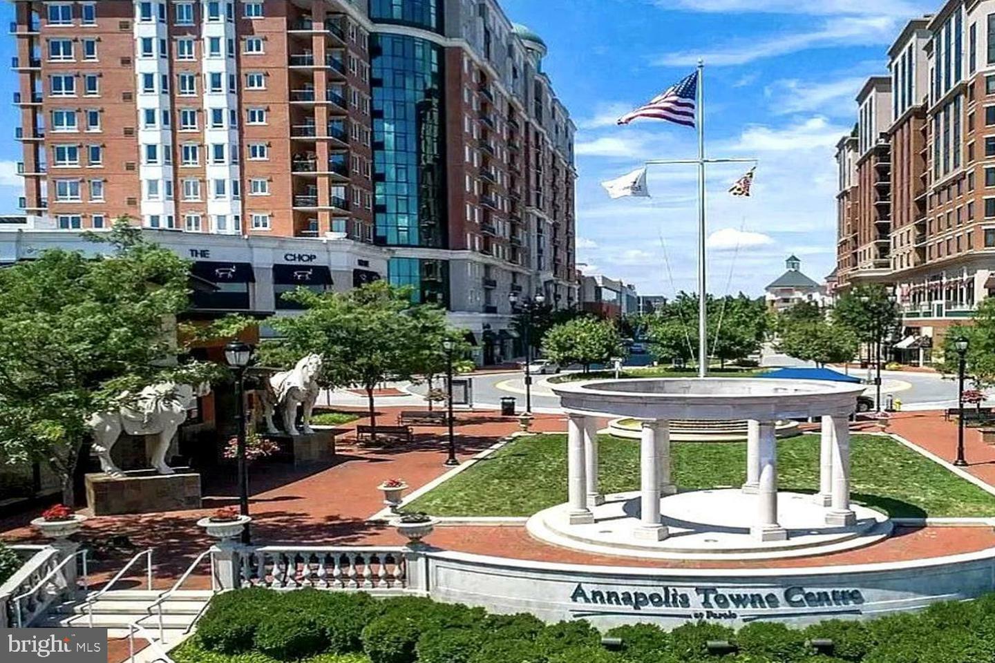 Property Photo:  1915 Towne Centre Boulevard 807  MD 21401 