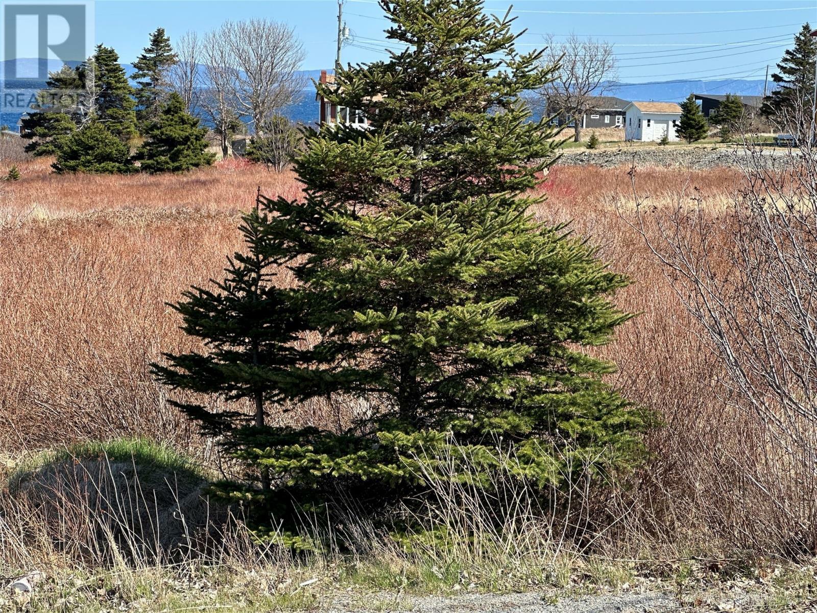 Property Photo:  389 Conception Bay Highway  NL  