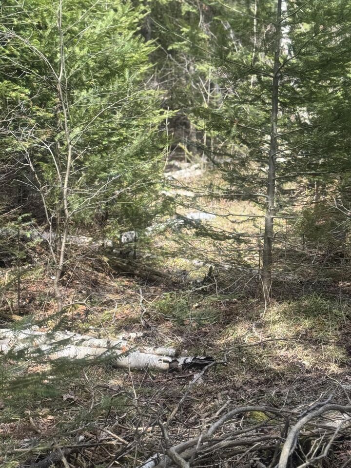 Property Photo:  Lot 1 Tressler Drive  MI 49853 