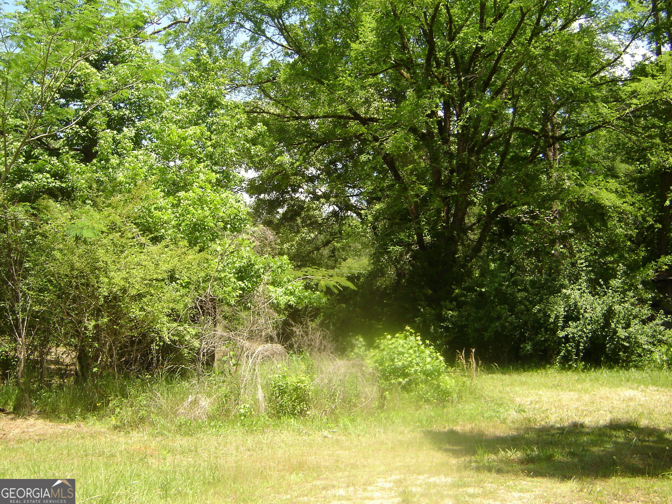 Property Photo: 0 County Road 213 AL 36863
