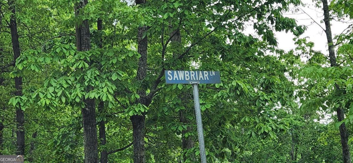 Property Photo: Lt 12 Saw Briar Lane GA 30512