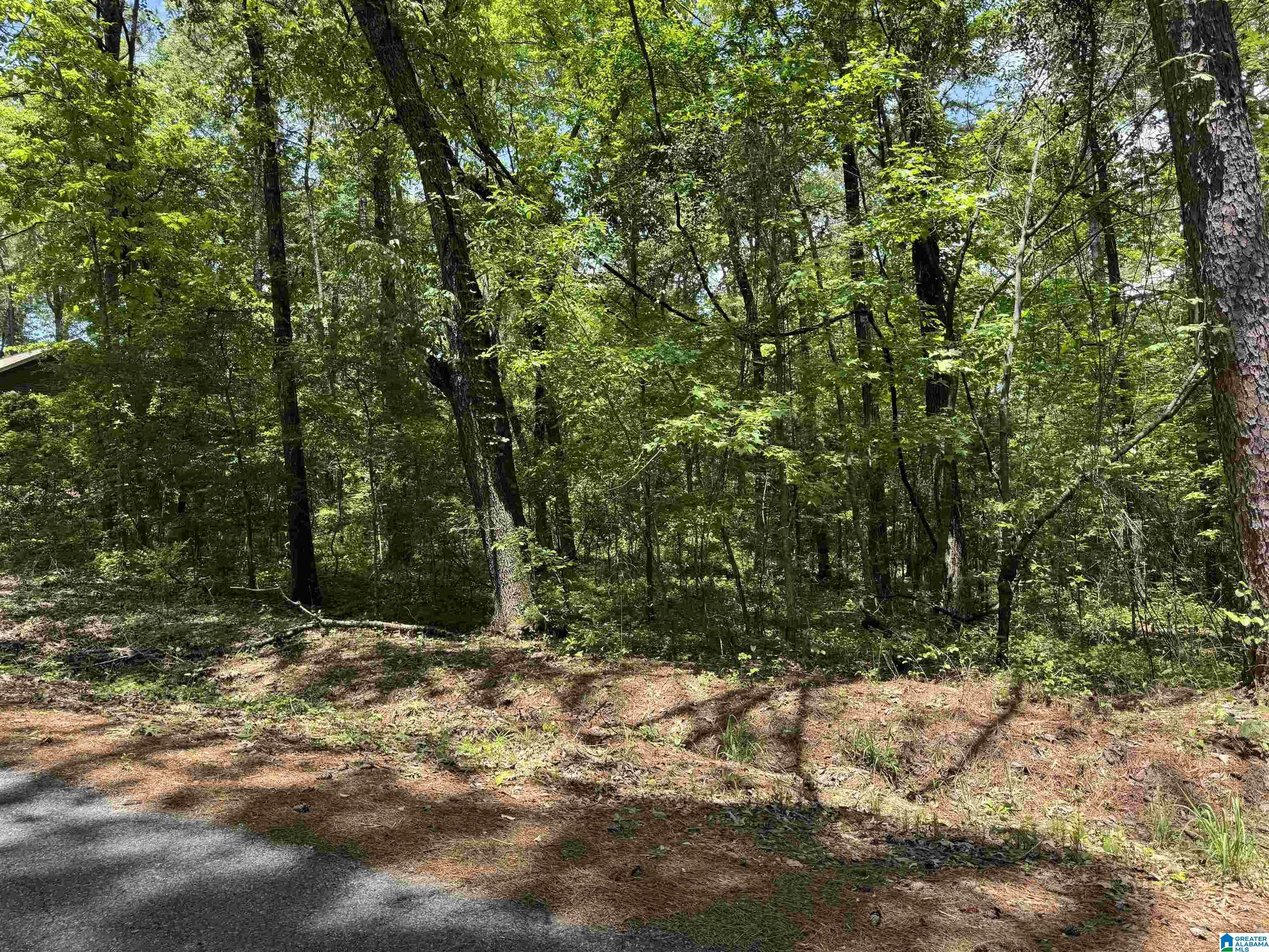 Property Photo: 000 Ridgeway Circle 117, 118, 119 AL 35160