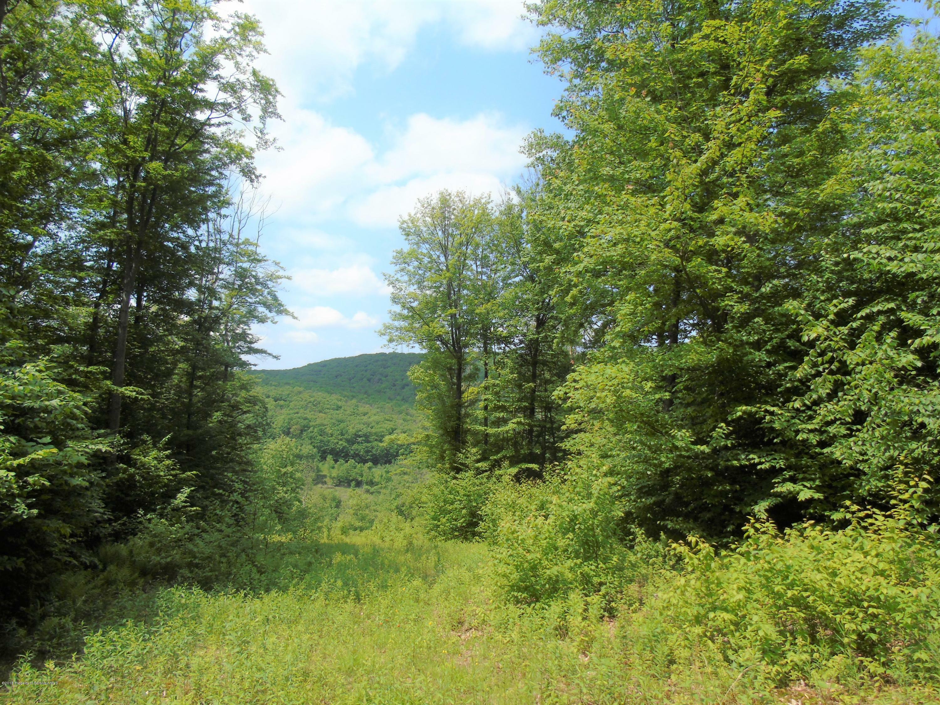 Property Photo: 58 Summit Woods PA 18444