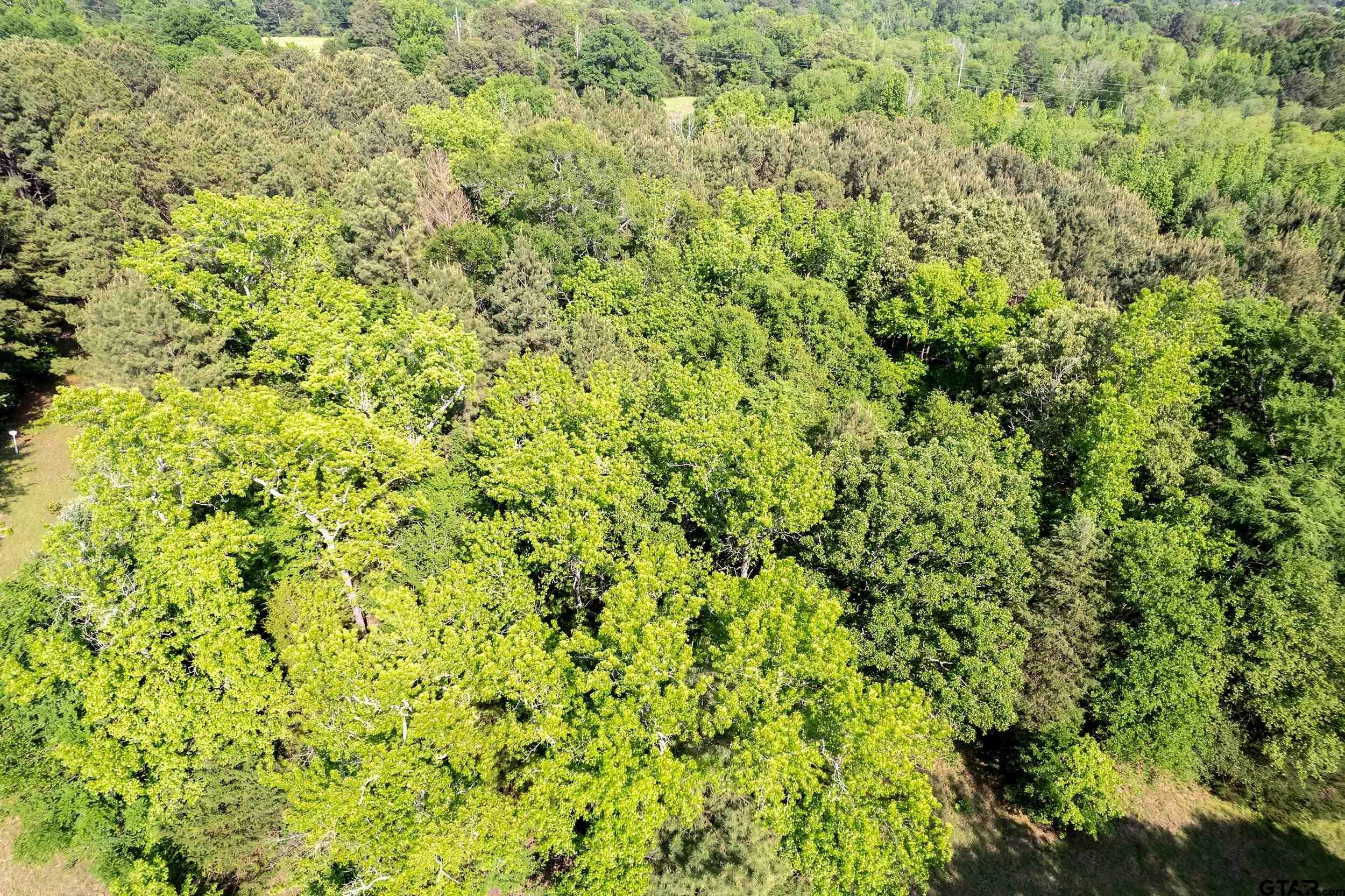 Property Photo: 8011 Aspen Rd TX 75755