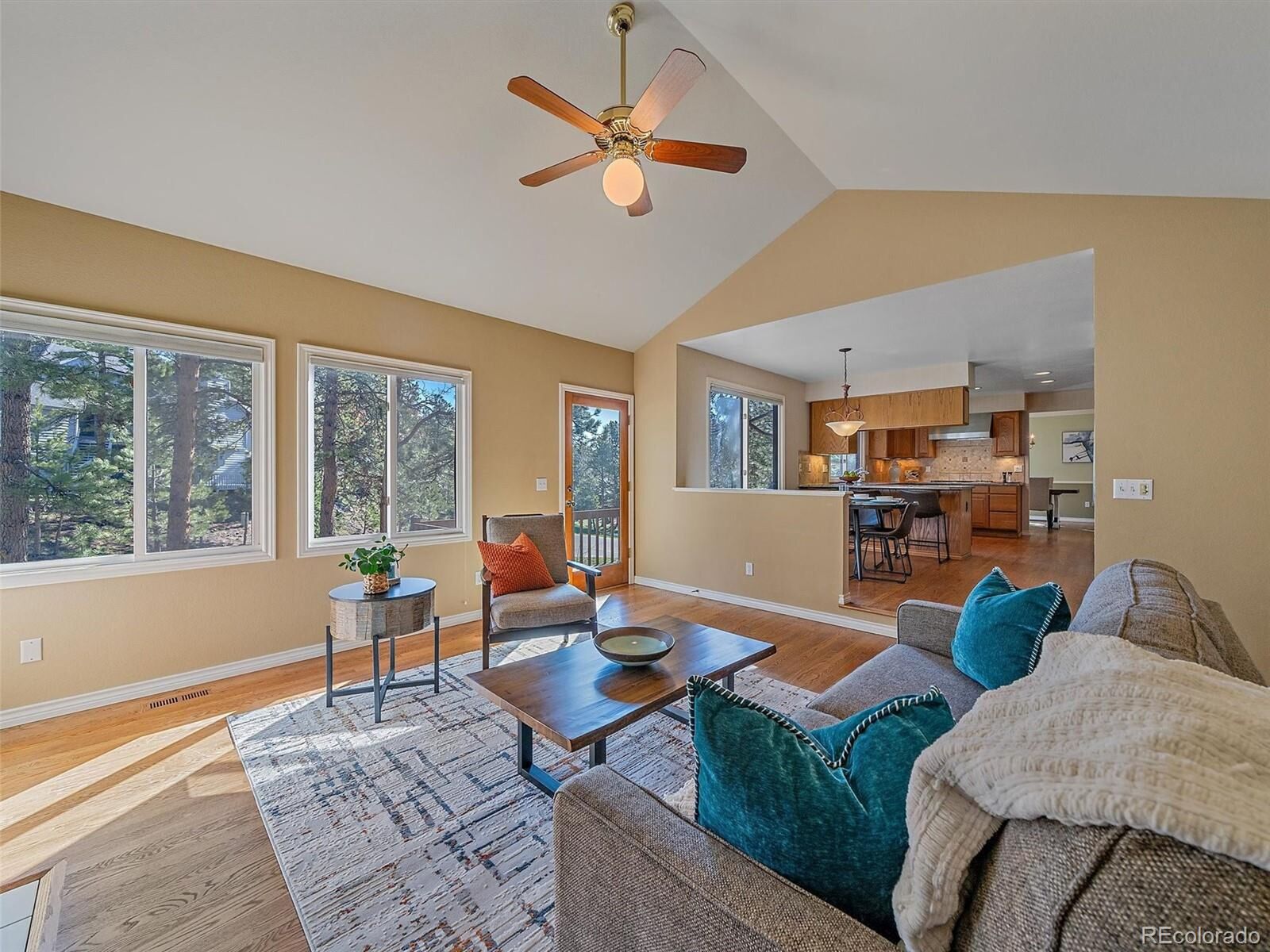 Property Photo: 4228 Scenic Village Dr CO 80439