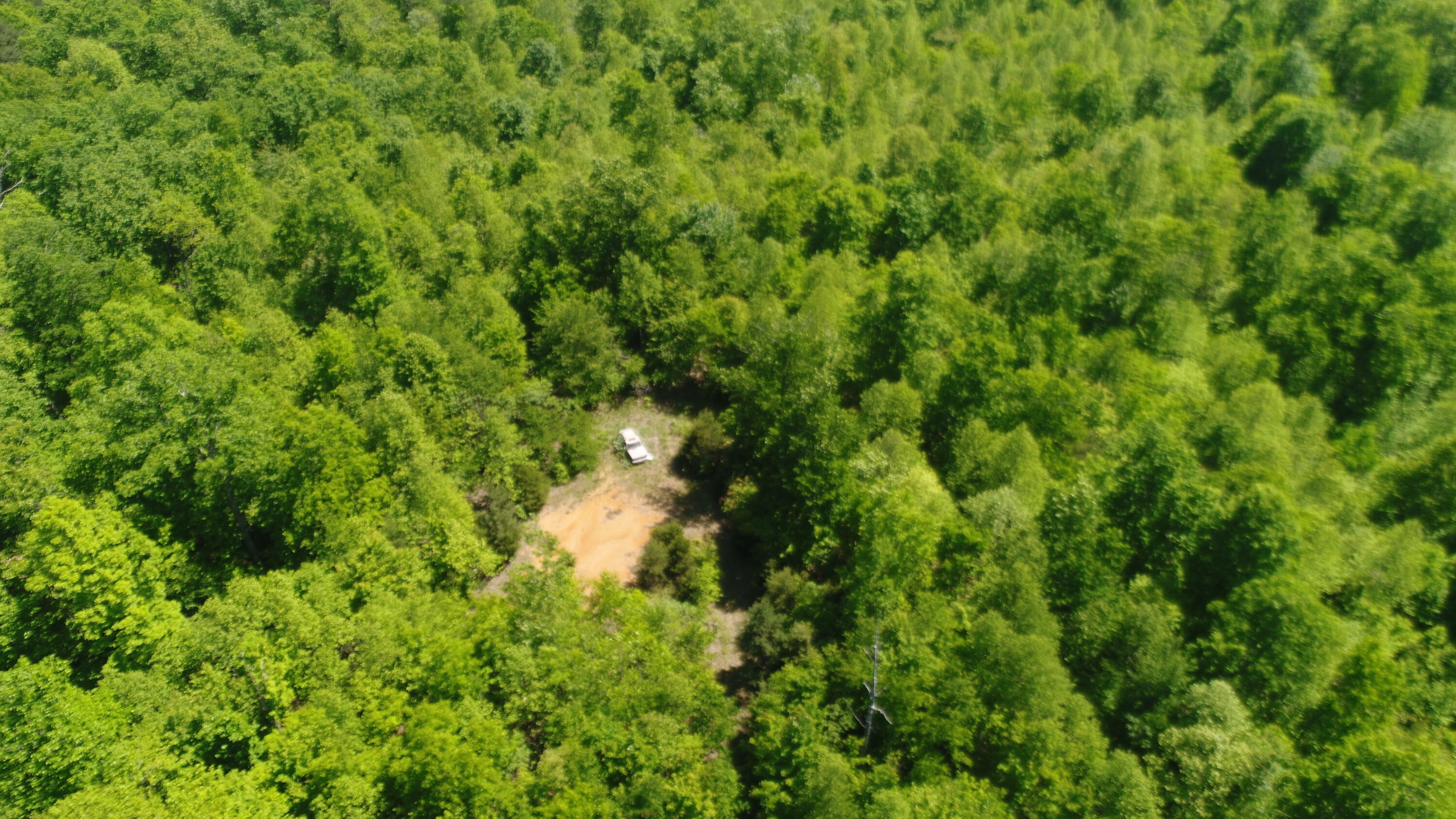 Property Photo: 1409 Denton Phelps Road KY 42501