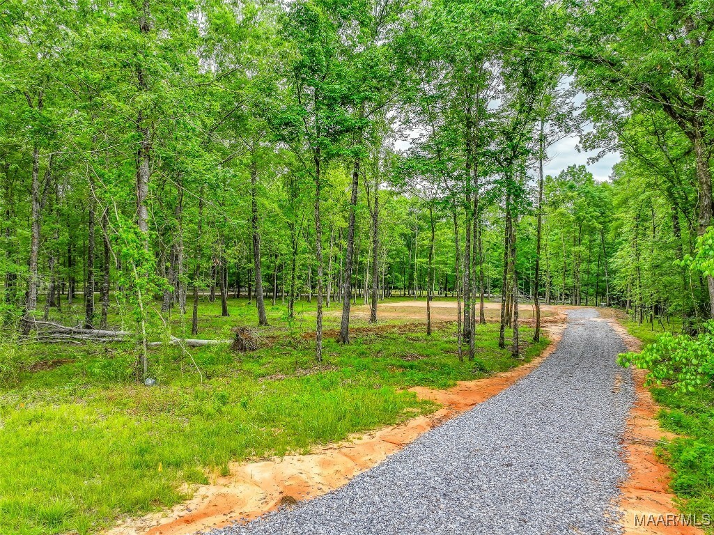 Property Photo: 181 Hickory Hollow Cove AL 36013