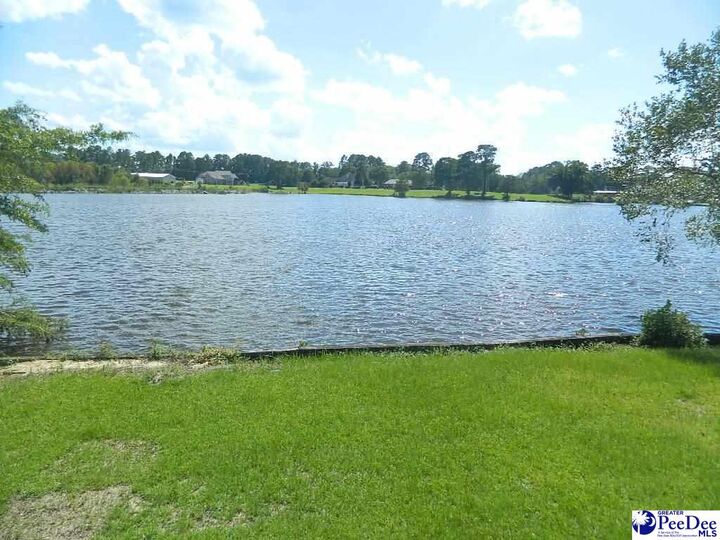 Property Photo: 1005 Tunbridge Place SC 29501