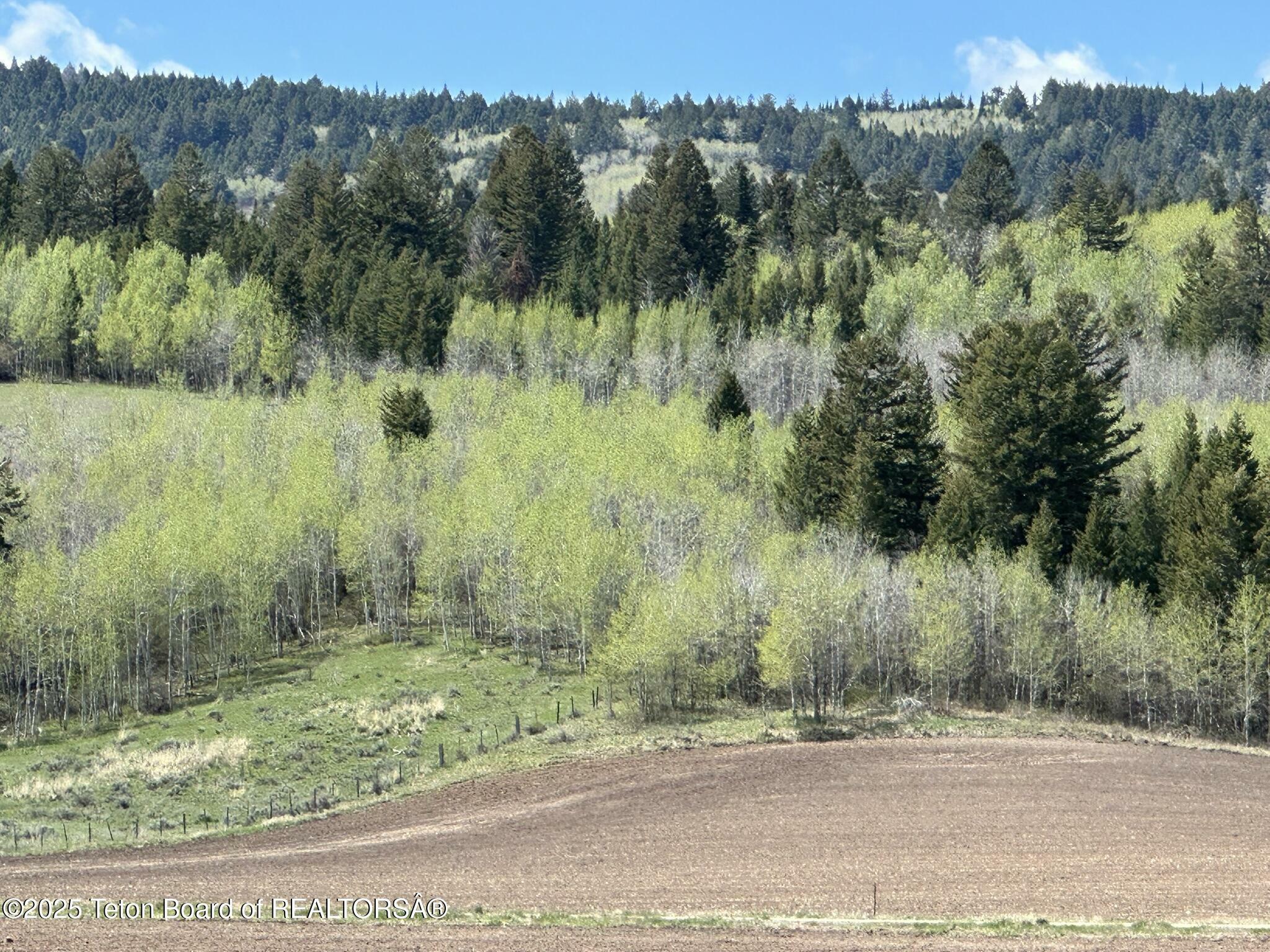 Property Photo: 8875 West Ridge Road ID 83452