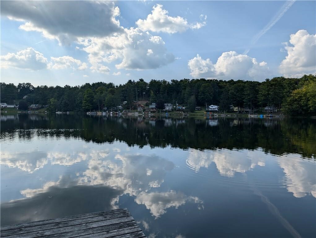 Property Photo: 9107 E Shore Road NY 14810