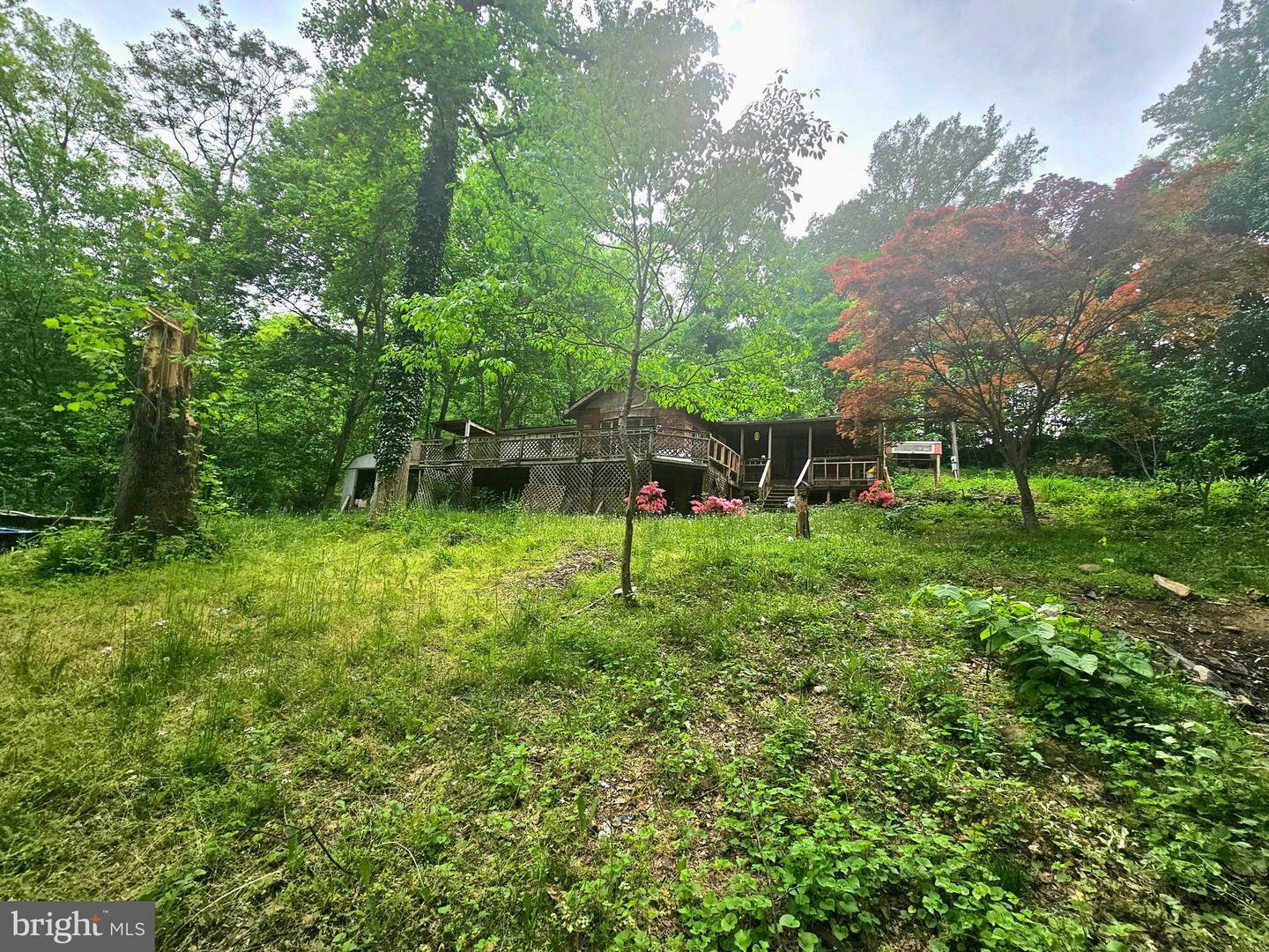 250 Burnside Drive  Falling Waters WV 25419 photo