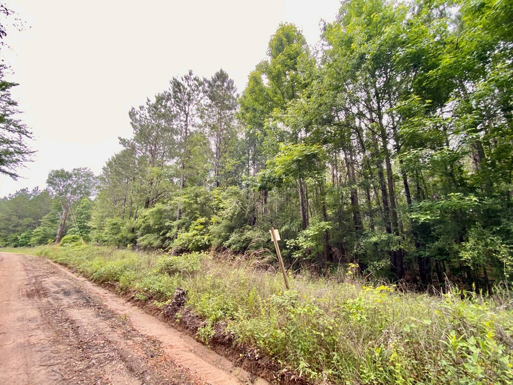 Property Photo:  L98486 Grimes Flournoy Road  TX 75949 