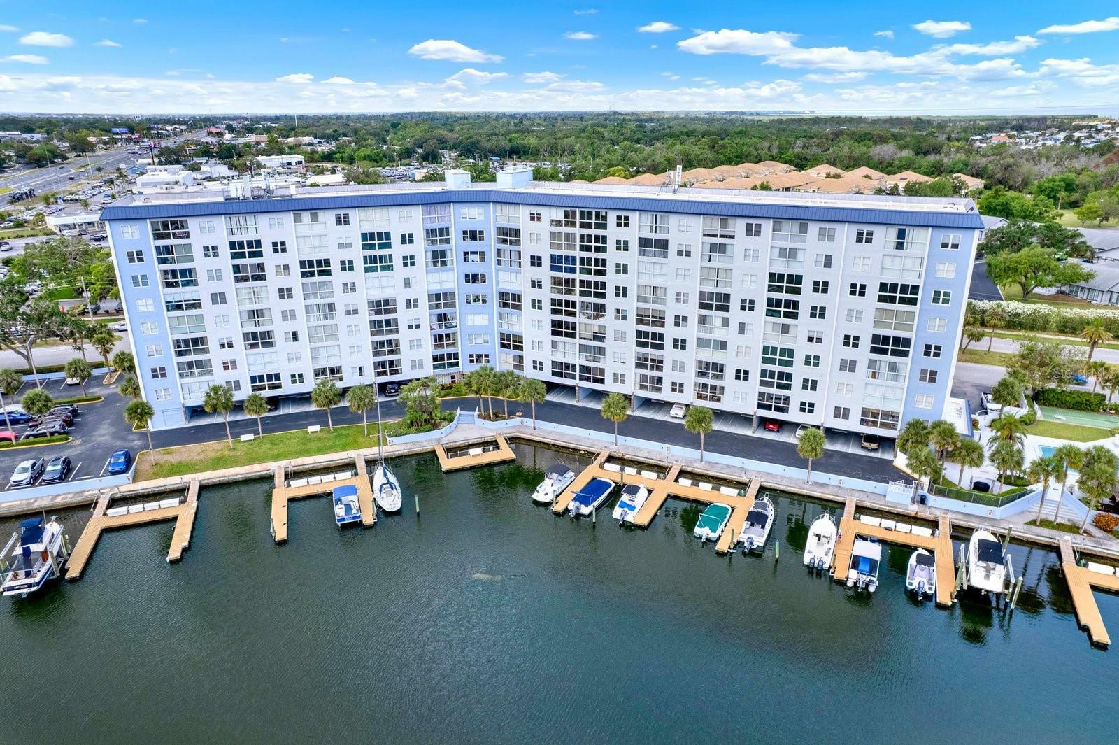 Property Photo: 4939 Floramar Terrace 204 FL 34652