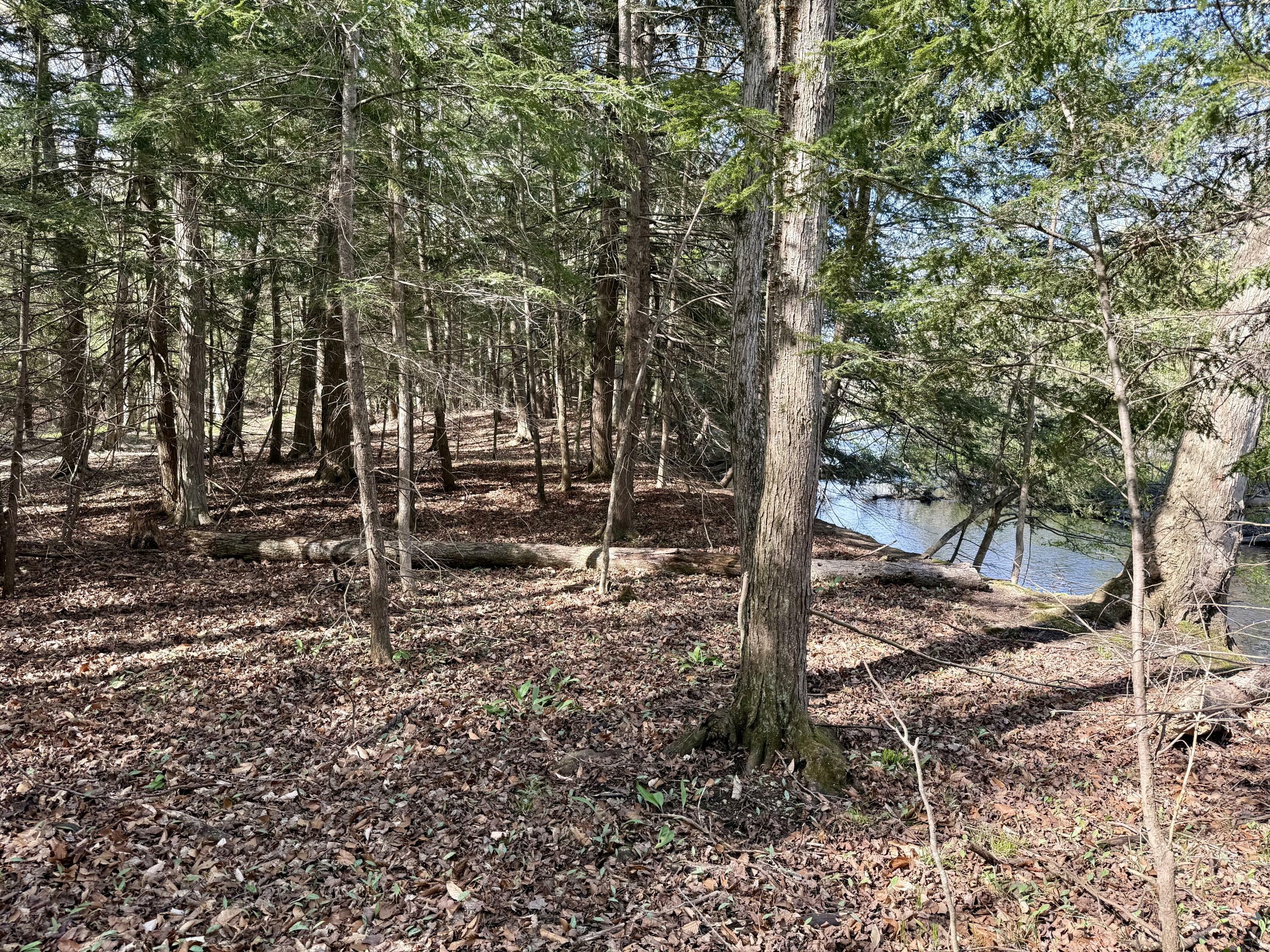 Property Photo: 8869 E Hawley Road MI 49421