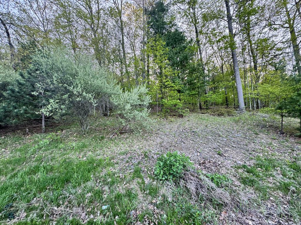 0 Sullivan Drive  Sayre PA 18810 photo
