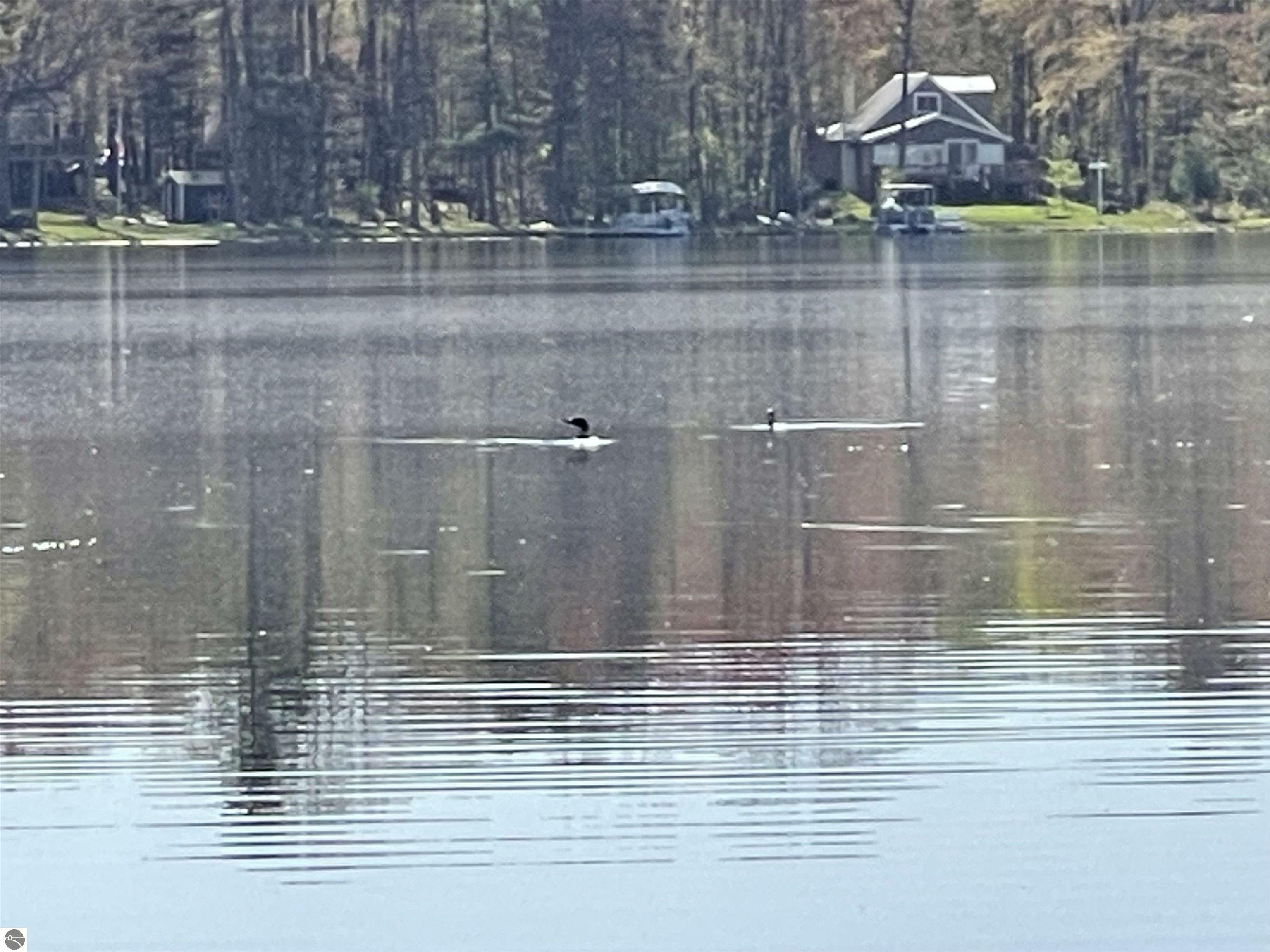 5070 Half Moon Trail  Lake MI 48632 photo