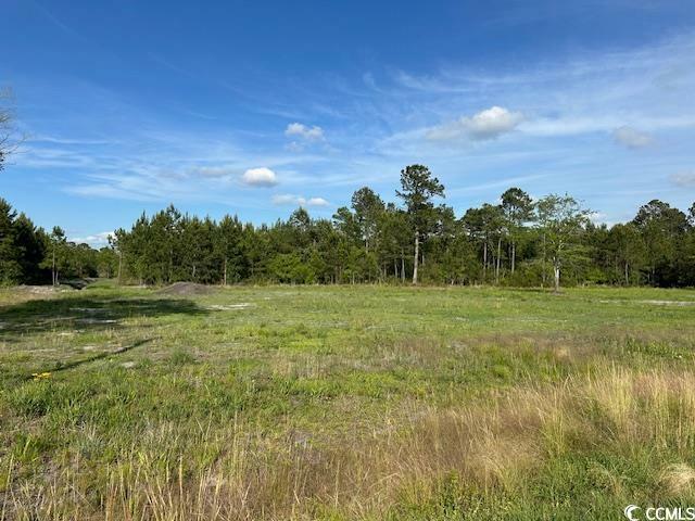 Property Photo: 114 Belland Ct. SC 29569