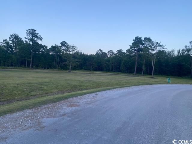 Property Photo:  114 Belland Ct.  SC 29569 