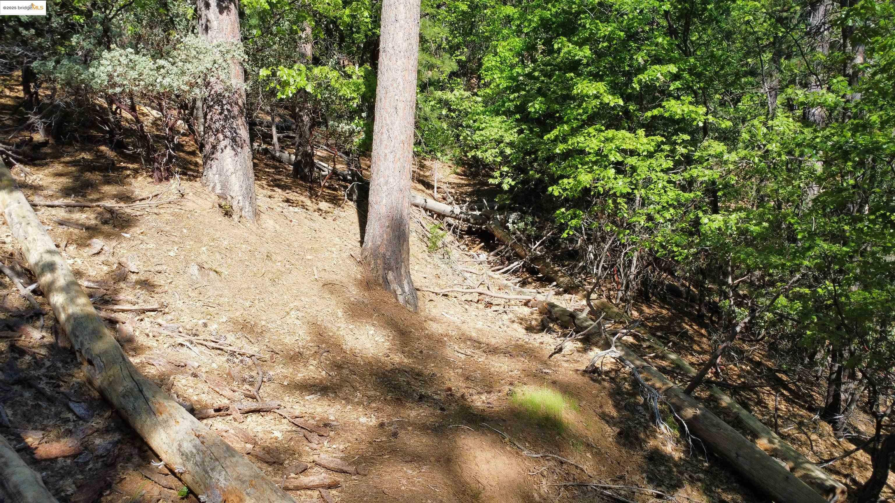 Property Photo: 23804 S Oxbow Lane CA 95370