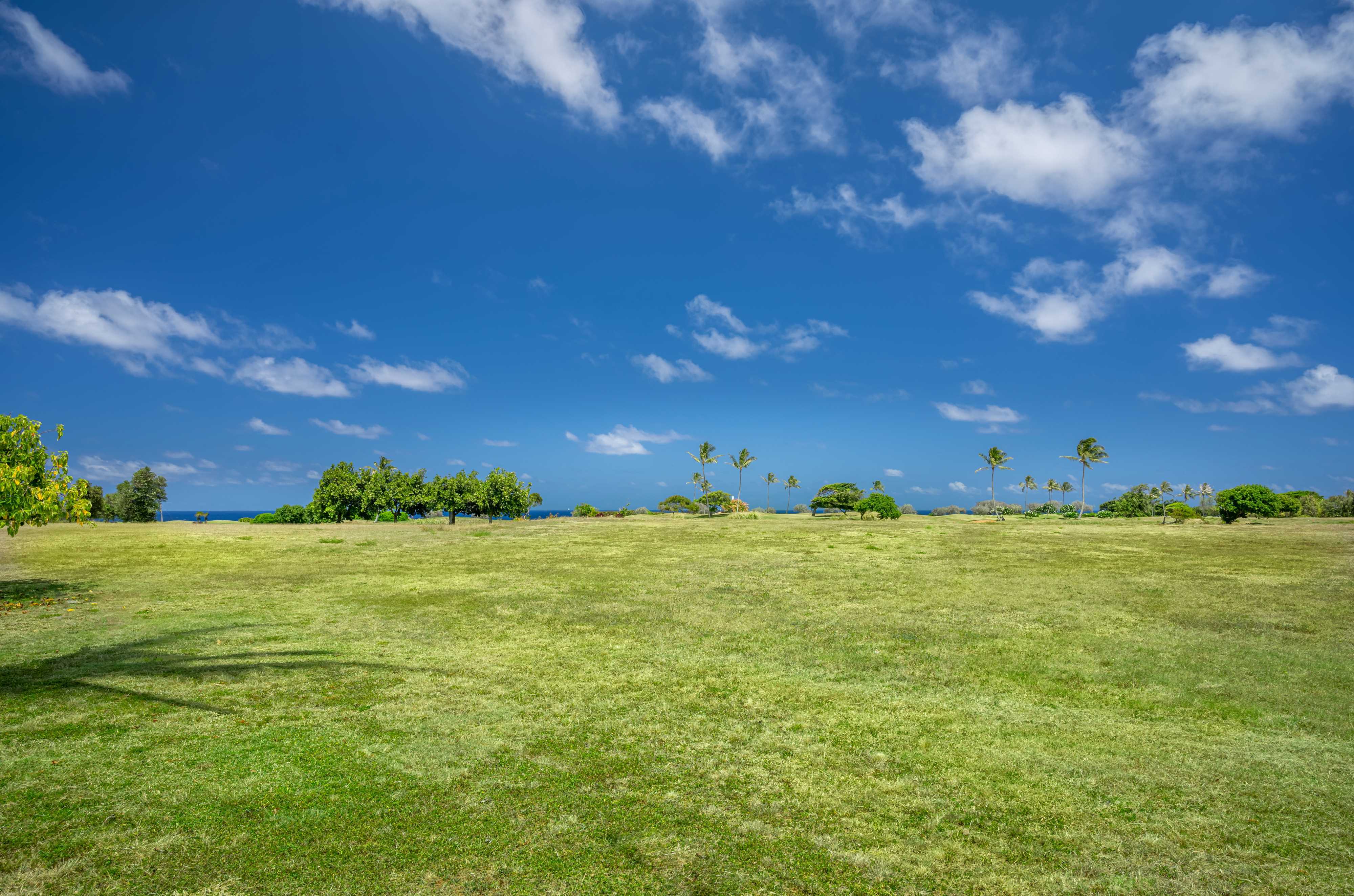 Property Photo: Pohaiula Pl HI 96766