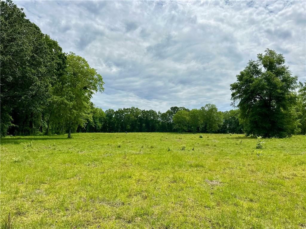 Property Photo: 0 Johnson Road AL 36375
