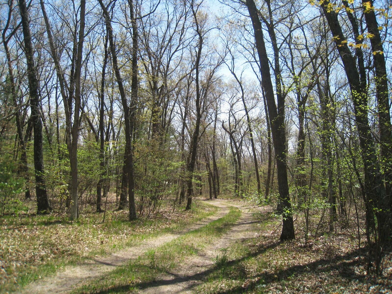 Property Photo: 4163 Skeels Road MI 49437