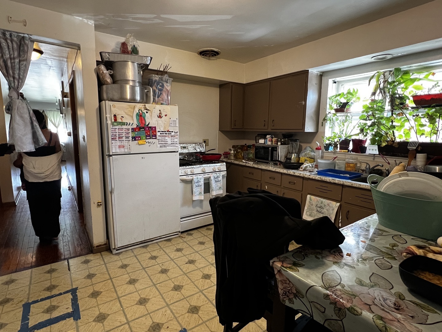 Property Photo: 456 N Wolf Road IL 60162