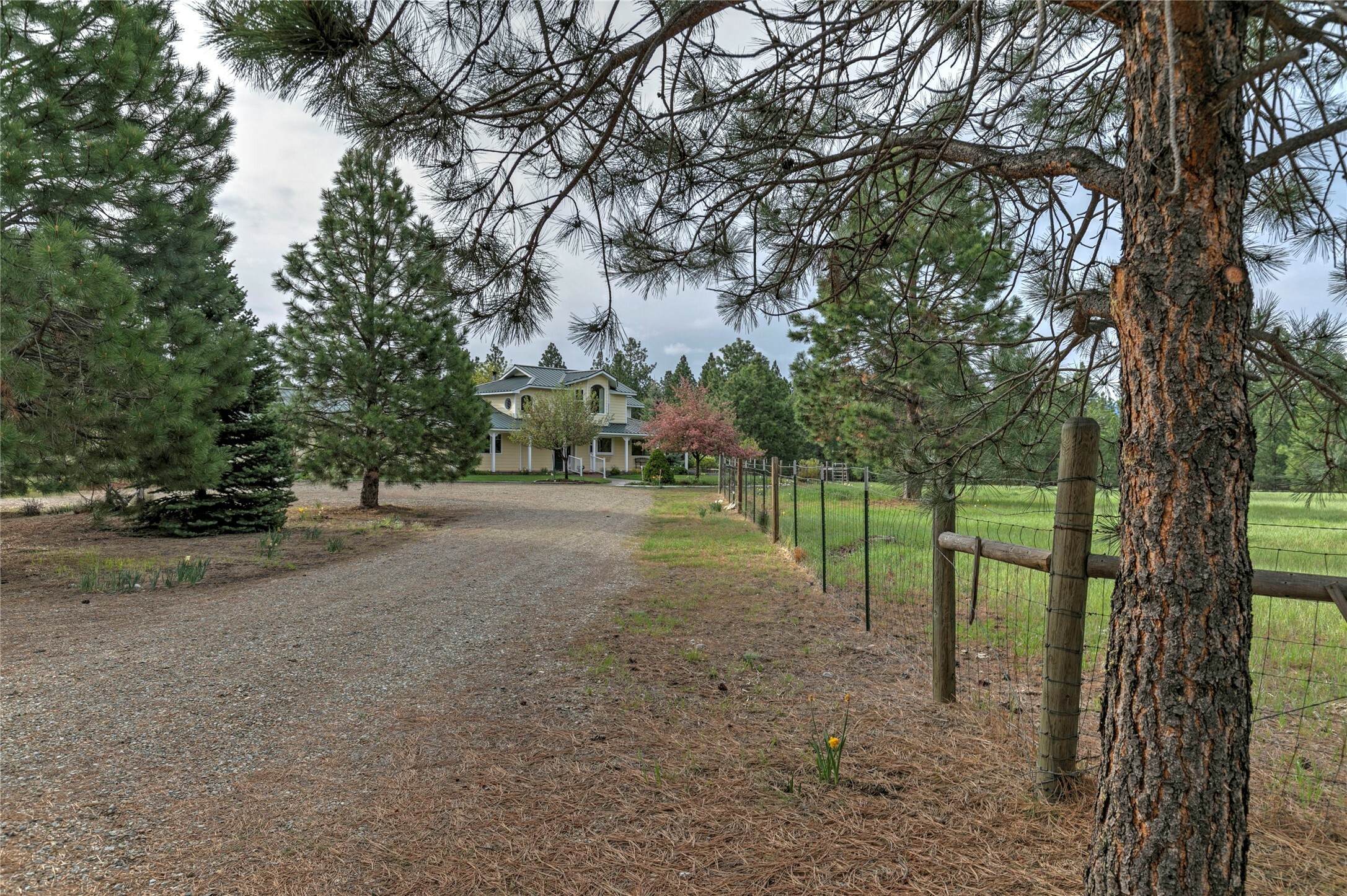 Property Photo: 3688 Judith Lane MT 59829